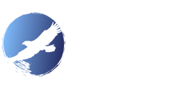 Health Hawk Digital_Horizontal_White